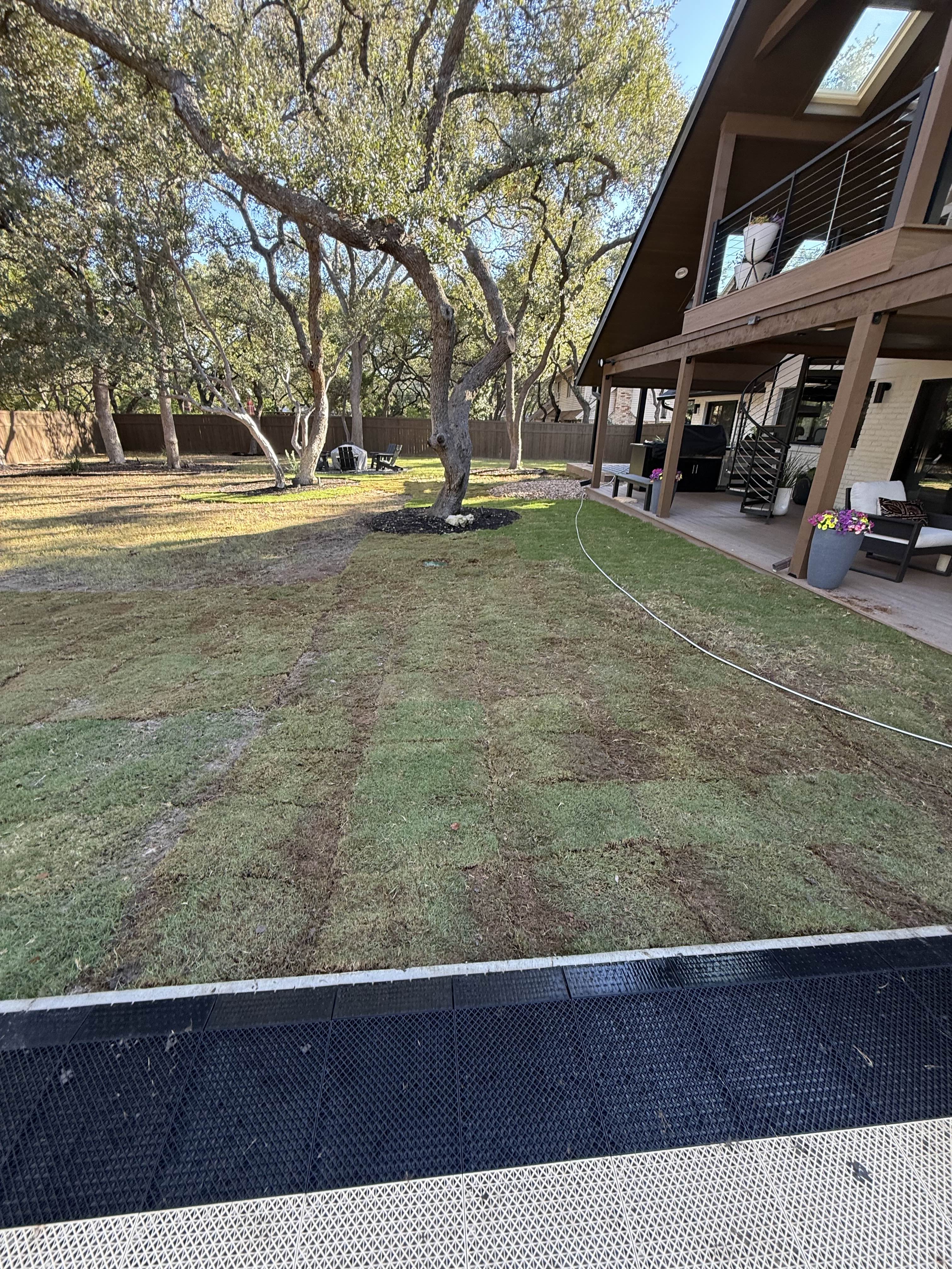 Professional Sod Installation